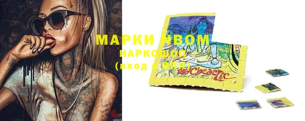 гидра Коряжма