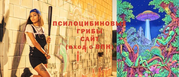 сатива Костерёво