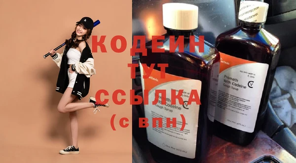 гидра Коряжма