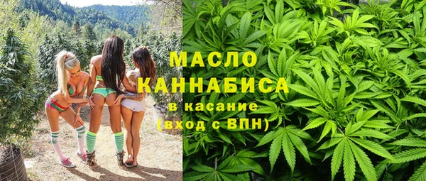 гидра Коряжма