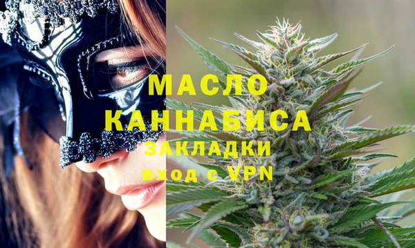 гидра Коряжма