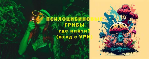 сатива Костерёво