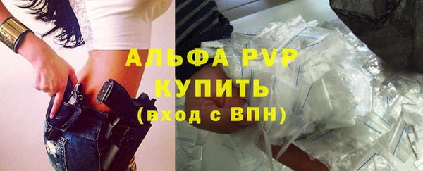 гидра Коряжма