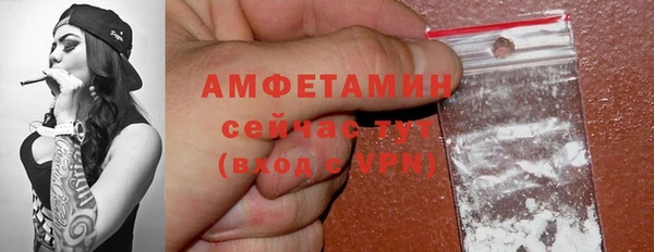 гидра Коряжма