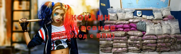 гидра Коряжма