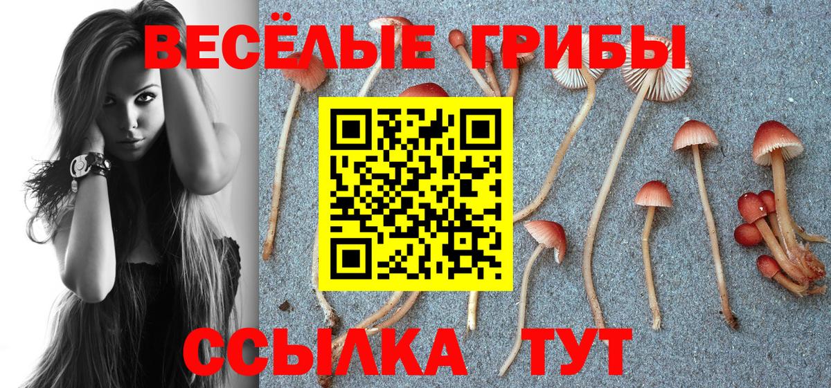 Галлюциногенные грибы MAGIC MUSHROOMS  Вход с VPN  Шебекино 