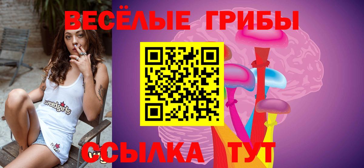 Псилоцибиновые грибы Magic Shrooms Шебекино